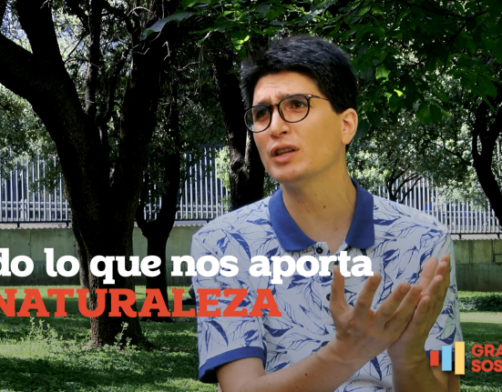 Los servicios ecosistémicos que nos aporta la naturaleza